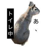 857675308