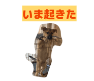 857676413