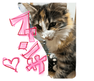 857676707