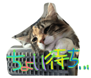857676710