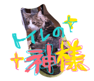 857676713