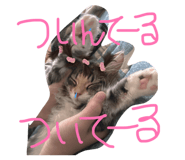 857676714