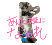 857676721