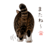 857677752