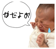 857678065