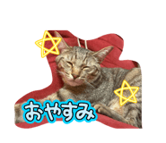 857678130