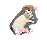 857678135
