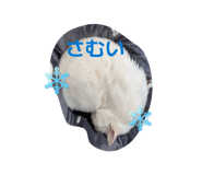 857678138