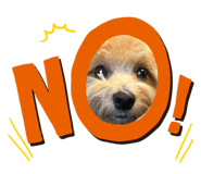 857678682