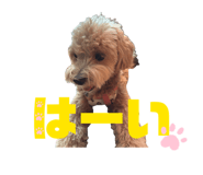 857678686
