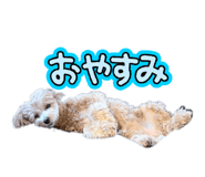 857678692