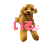 857678698