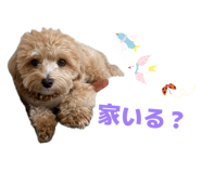 857678703