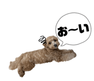 857678709