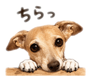 857678755