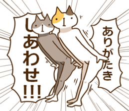 8576804