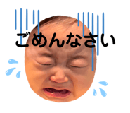857680537