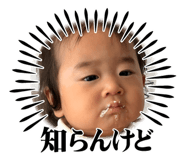 857680557