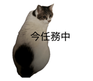 857680636