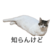 857680640