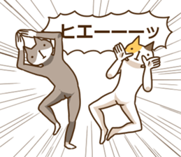 8576807