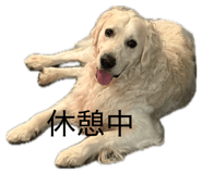 857680713