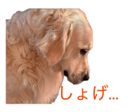 857680717