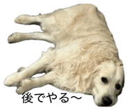 857680720