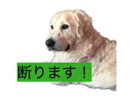 857680721