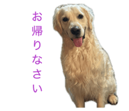 857680723