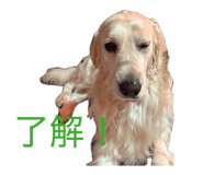 857680725