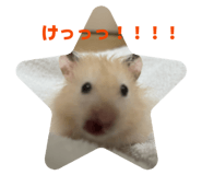 857680796