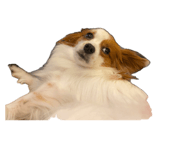 857680825