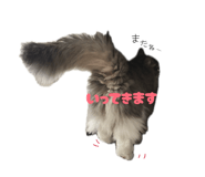857681273