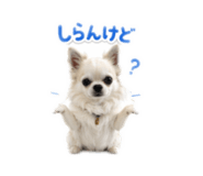 857681286