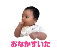 857681397