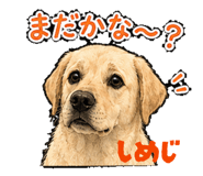 857681532