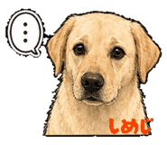 857681533