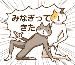 8576822