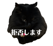 857682585