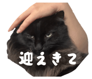 857682586