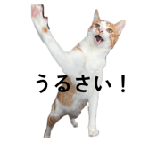 857682587