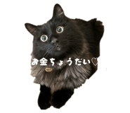 857682591