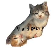 857682592