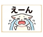 857682697
