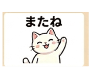 857682704