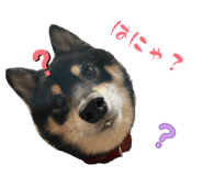 857682865
