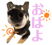857682869