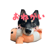 857682870