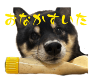 857682871